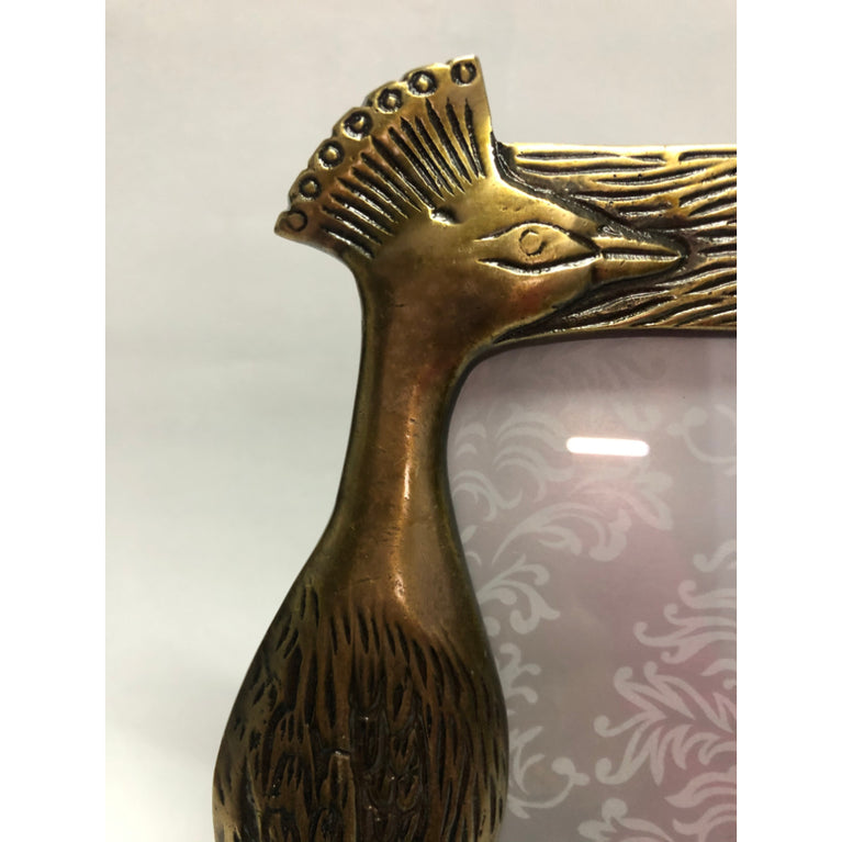 Photo Frame Parrot (5 By 7)