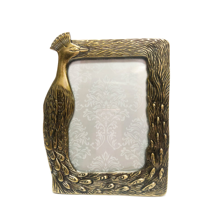 Photo Frame Parrot (5 By 7)